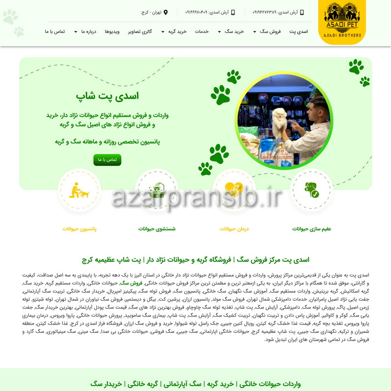 اسدی پت شاپ فروش سگ گربه و حیوانات خانگی نژاد دار