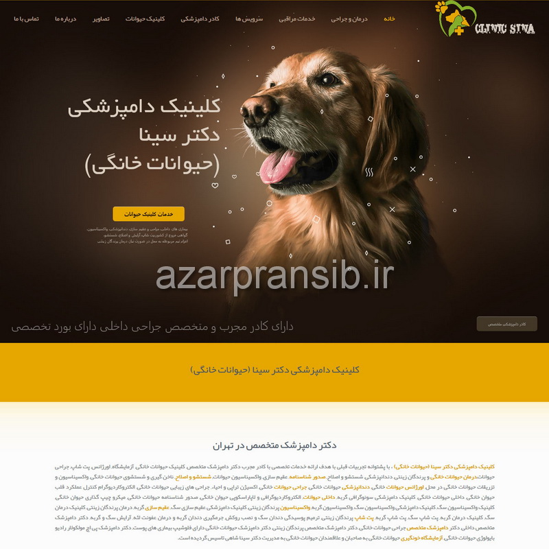 کلینیک دامپزشکی دکتر سینا (حیوانات خانگی) - طراحی وب سایت و بهینه سازی وب سایت